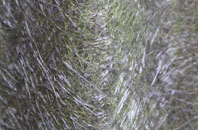 Kingairloch fibreglass roof work